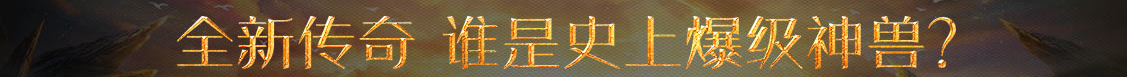 賽福網